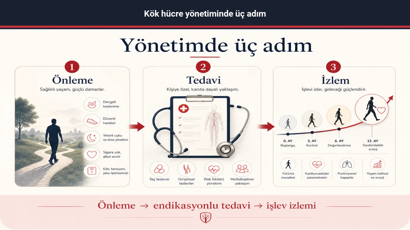 Kök hücre yönetiminde önleme, hastalık yolu ve izlem — şema